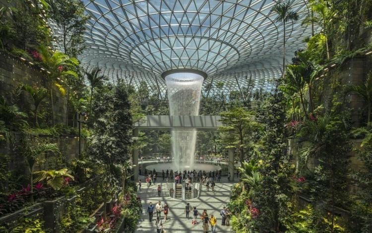 Changi Airport in the Heart of Nature