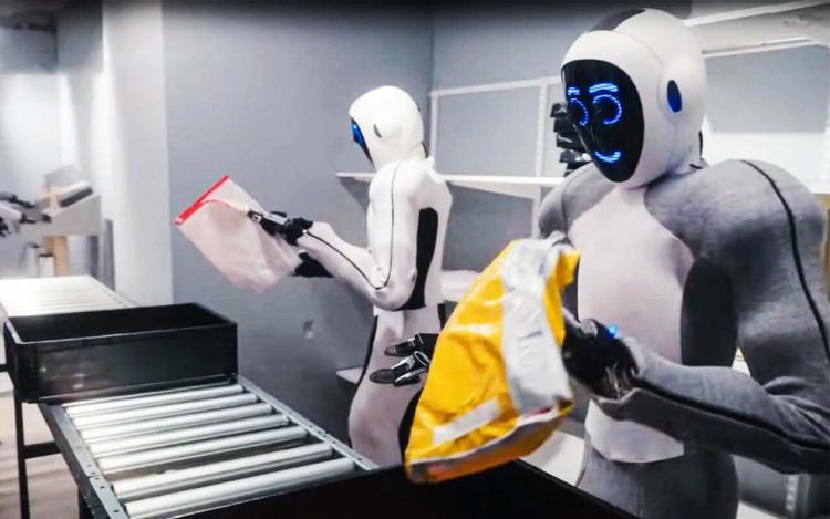 OpenAI's Humanoid Robot "Eve"