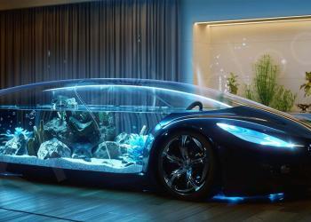 Unusual Aquarium Designs