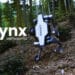 Lynx-The New Representative of the Robotic Age 1