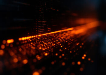 The First Digital Watermark Ever Hidden in Data